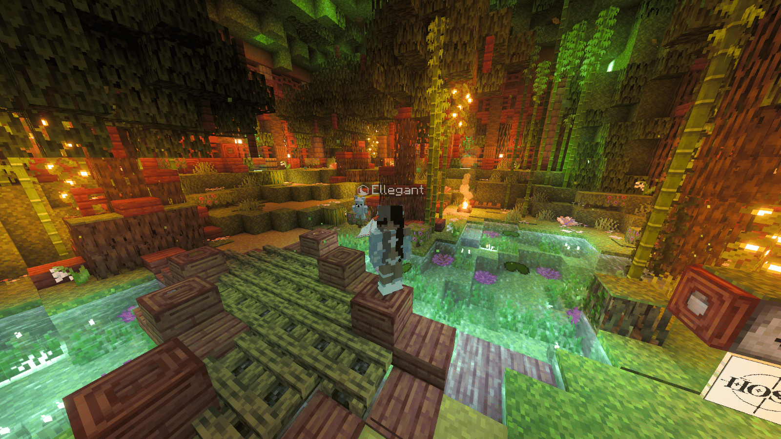 Ellegant Pond Stash image 1