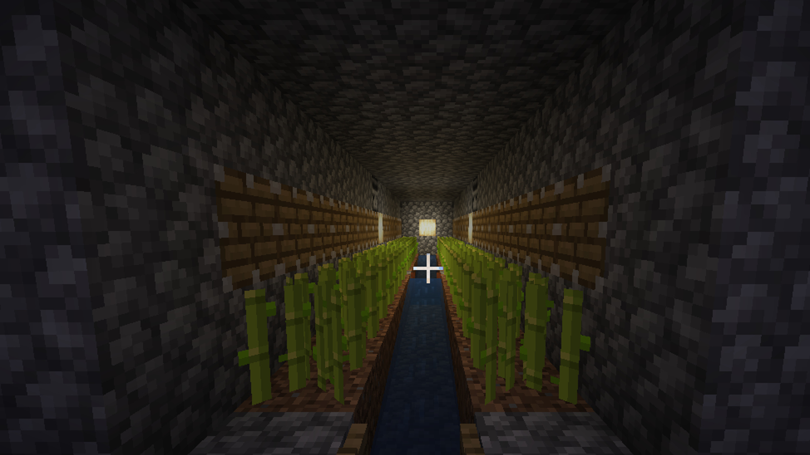 Ryu sugarcane farm V2 image 1