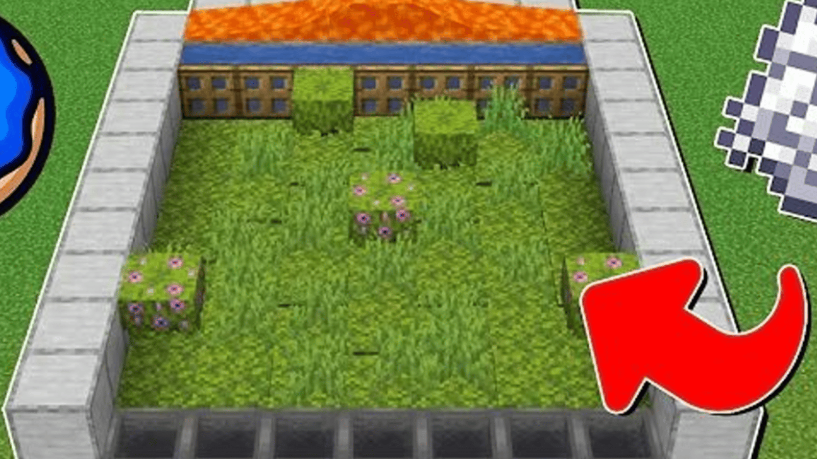 100 m image 1