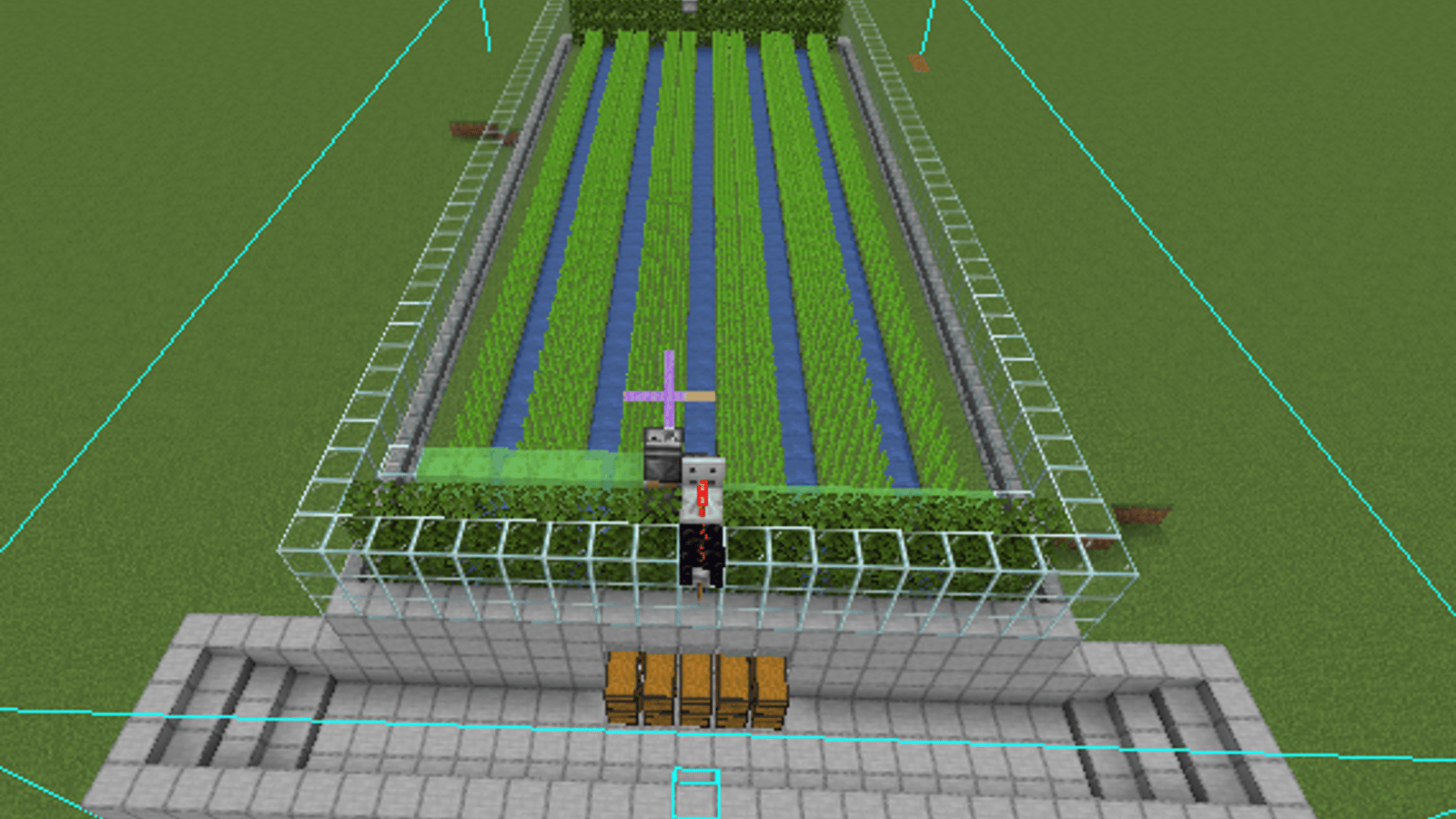 automatic sugarcane farm image 1