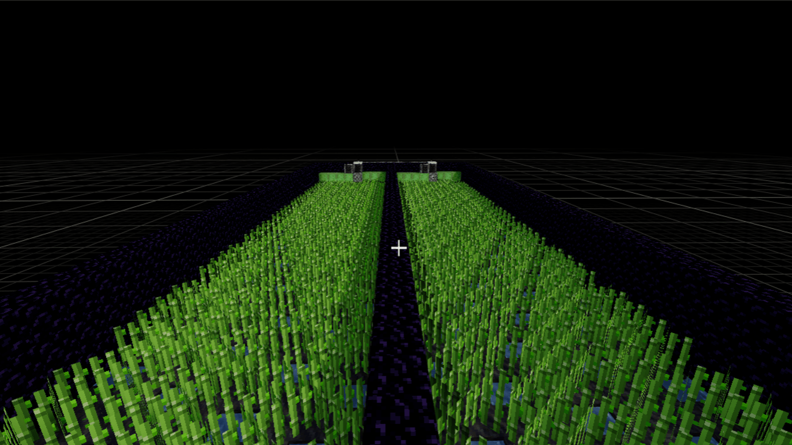 mauschu's 100m per day surgar cane farm image 1
