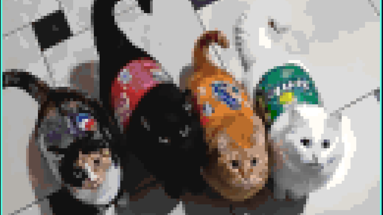 KITTY MAPART image 1