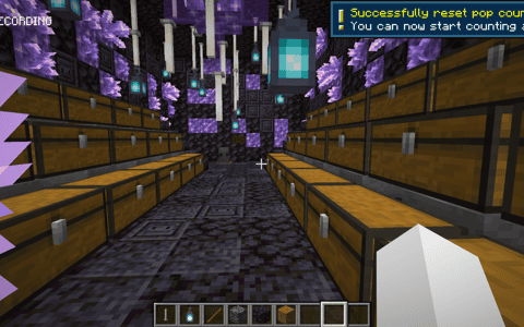 Nether/Amethyst Stash thumbnail