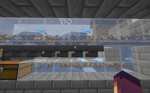 Chicks Shear farm v1 thumbnail
