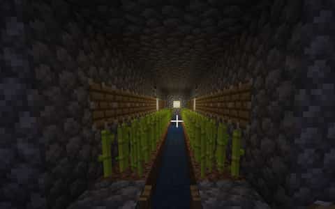Ryu sugarcane farm V2 thumbnail