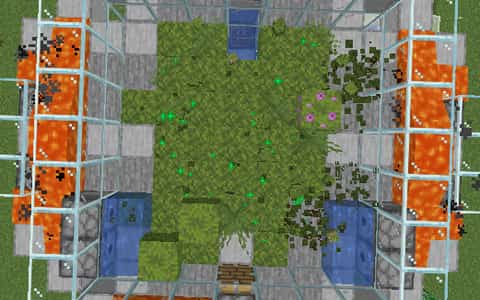 ravix bone meal farm meta thumbnail