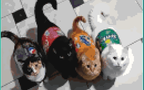 KITTY MAPART thumbnail